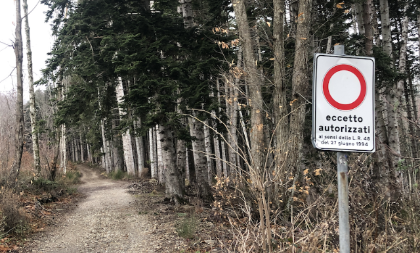 Strade forestali – Divieto transito mezzi a motore